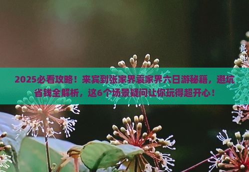 来宾到张家界袁家界六日游