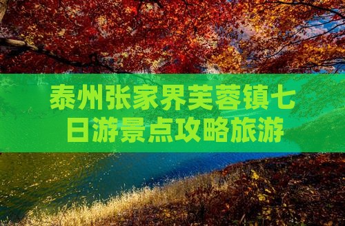 泰州到张家界芙蓉镇七日游