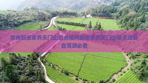 常州到张家界天门山景点