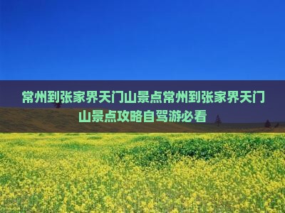 常州到张家界天门山景点