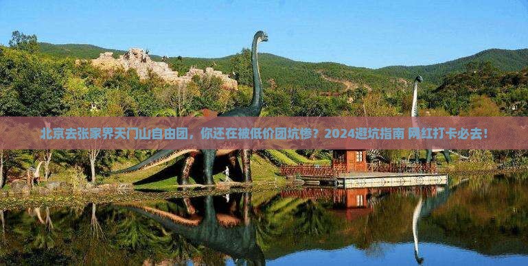 北京去张家界天门山自由团