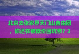 北京去张家界天门山自由团