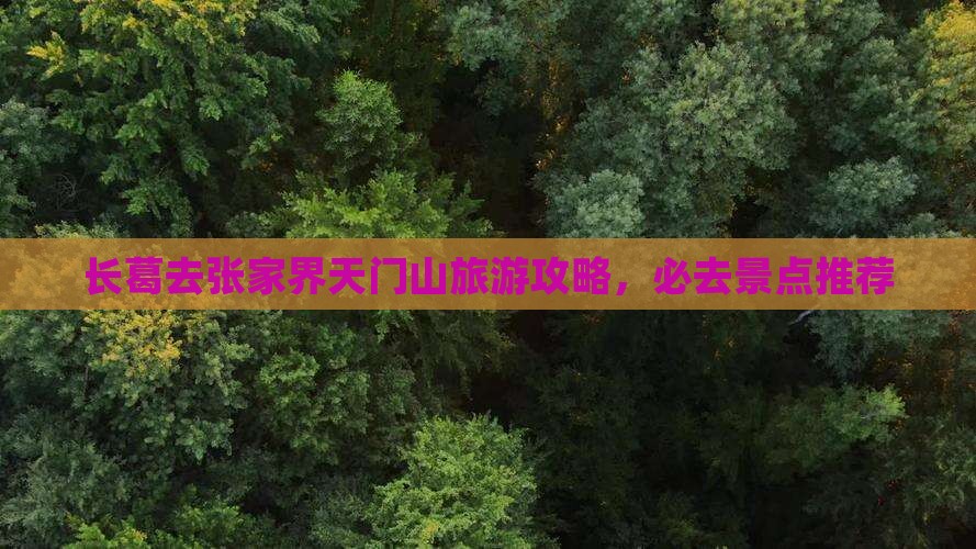 长葛去张家界天门山哪里玩