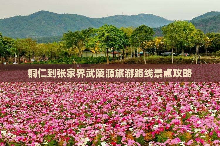 铜仁去张家界武陵源旅游