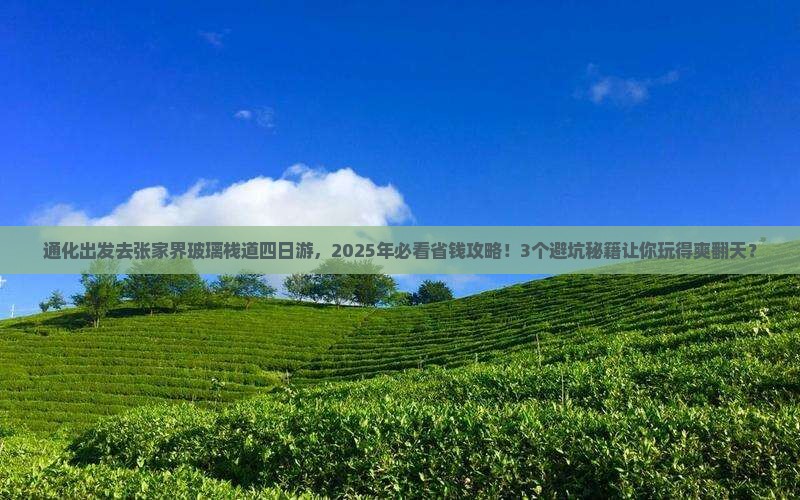 通化去张家界玻璃栈道四日游