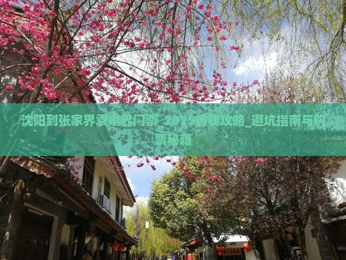 沈阳到张家界袁家界门票