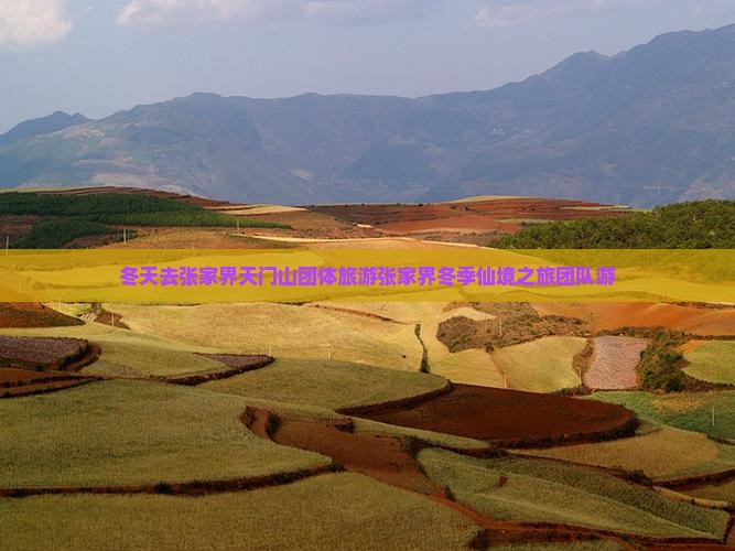 冬天去张家界天门山团体旅游