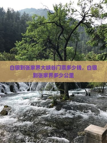 白银到张家界大峡谷门票