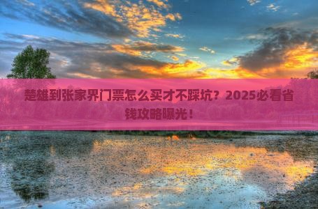 楚雄到张家界门票