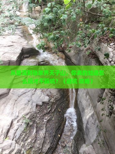 普洱到张家界天子山旅游