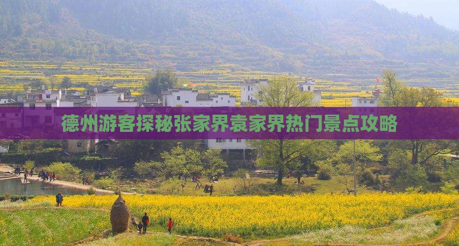 德州游客探秘张家界袁家界热门景点攻略