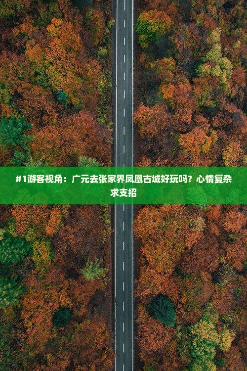 #1游客视角：广元去张家界凤凰古城好玩吗？心情复杂求支招