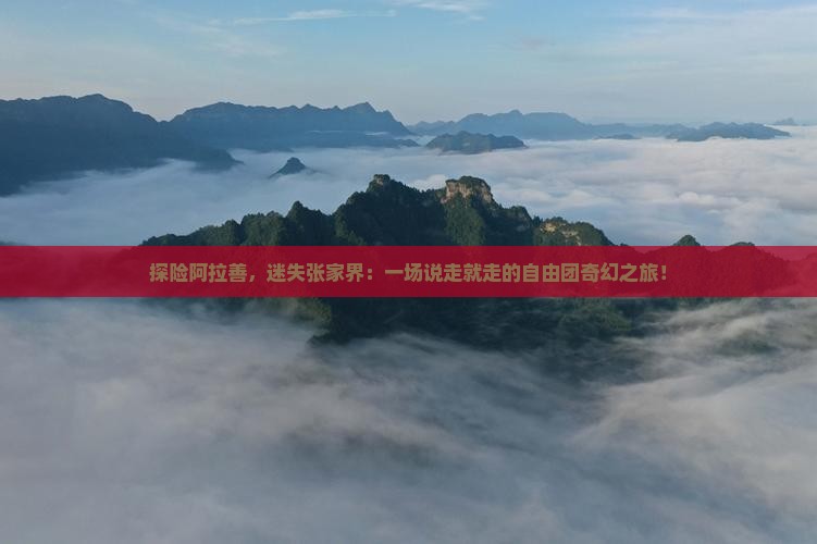 探险阿拉善，迷失张家界：一场说走就走的自由团奇幻之旅！