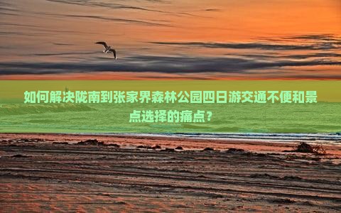 如何解决陇南到张家界森林公园四日游交通不便和景点选择的痛点？