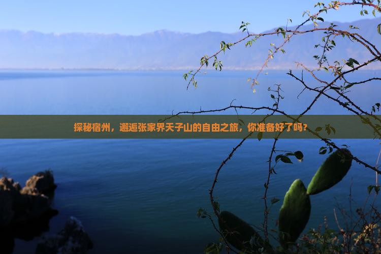 探秘宿州，邂逅张家界天子山的自由之旅，你准备好了吗？