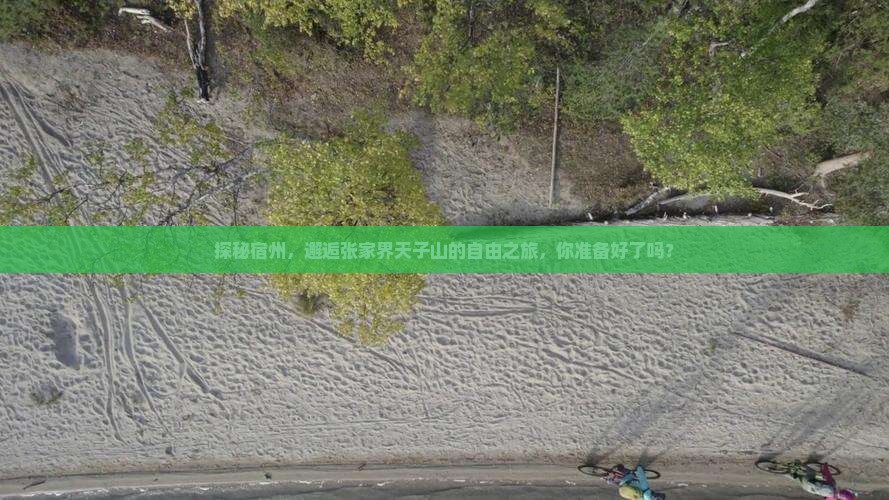 探秘宿州，邂逅张家界天子山的自由之旅，你准备好了吗？
