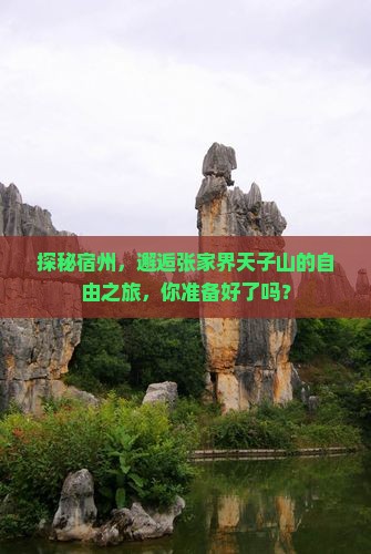 探秘宿州，邂逅张家界天子山的自由之旅，你准备好了吗？