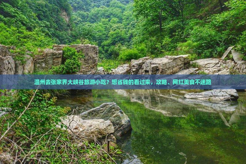 温州去张家界大峡谷旅游小吃？想省钱的看过来，攻略、网红美食不迷路