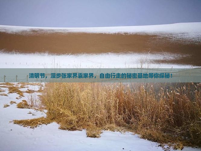 清明节，漫步张家界袁家界，自由行走的秘密基地等你探秘！