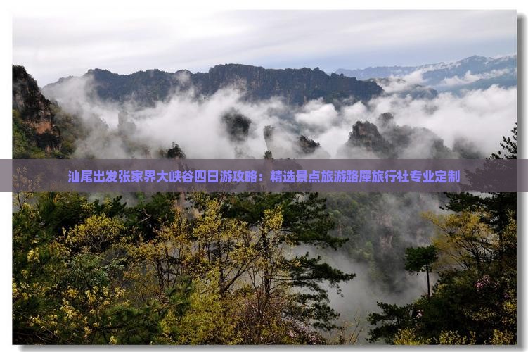 汕尾出发张家界大峡谷四日游攻略：精选景点旅游路犀旅行社专业定制