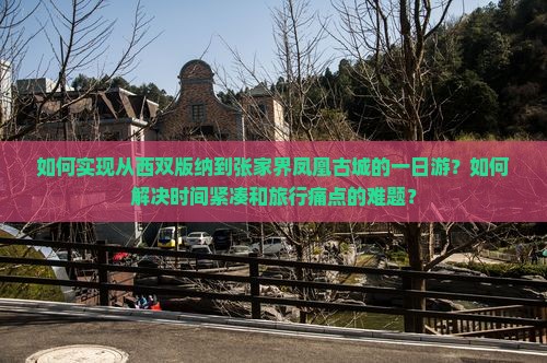 如何实现从西双版纳到张家界凤凰古城的一日游？如何解决时间紧凑和旅行痛点的难题？
