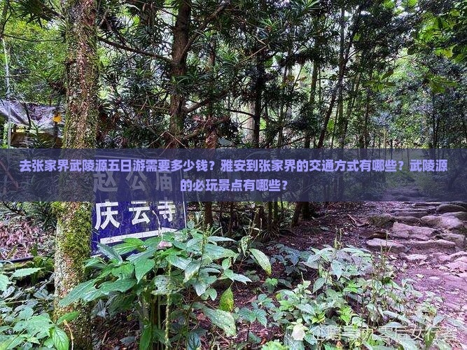 去张家界武陵源五日游需要多少钱？雅安到张家界的交通方式有哪些？武陵源的必玩景点有哪些？