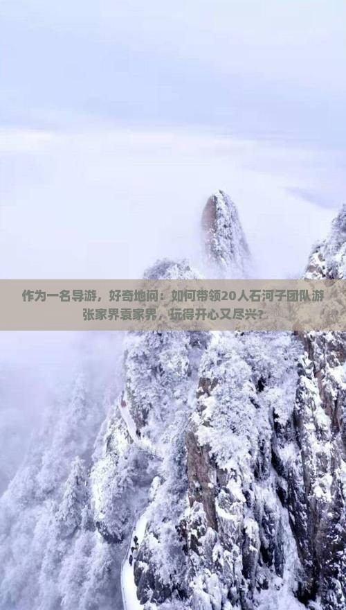 作为一名导游，好奇地问：如何带领20人石河子团队游张家界袁家界，玩得开心又尽兴？