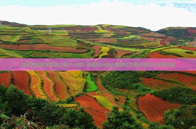 甘孜去张家界森林公园个人游？孤独旅行者必备的社交破冰技巧与种草攻略
