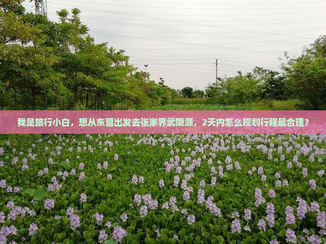 我是旅行小白，想从东营出发去张家界武陵源，2天内怎么规划行程最合理？