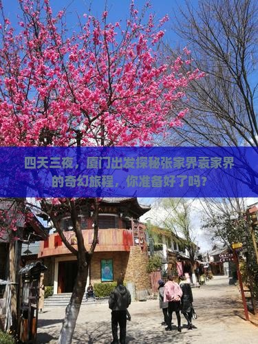 四天三夜，厦门出发探秘张家界袁家界的奇幻旅程，你准备好了吗？