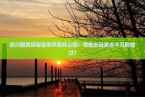 铜川朋友探秘张家界森林公园：哪些必玩景点千万别错过？