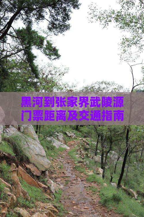黑河到张家界武陵源门票距离及交通指南 黑河到张家界武陵源门票距离及交通指南