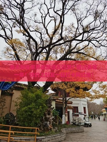 春天到张家界武陵源五日游?错过再等一年!快约上好友一起打卡网红地! 春天到张家界武陵源五日游?错过再等一年!快约上好友一起打卡网红地!