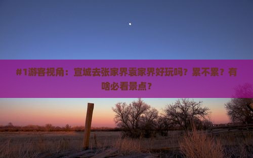 #1游客视角：宣城去张家界袁家界好玩吗？累不累？有啥必看景点？