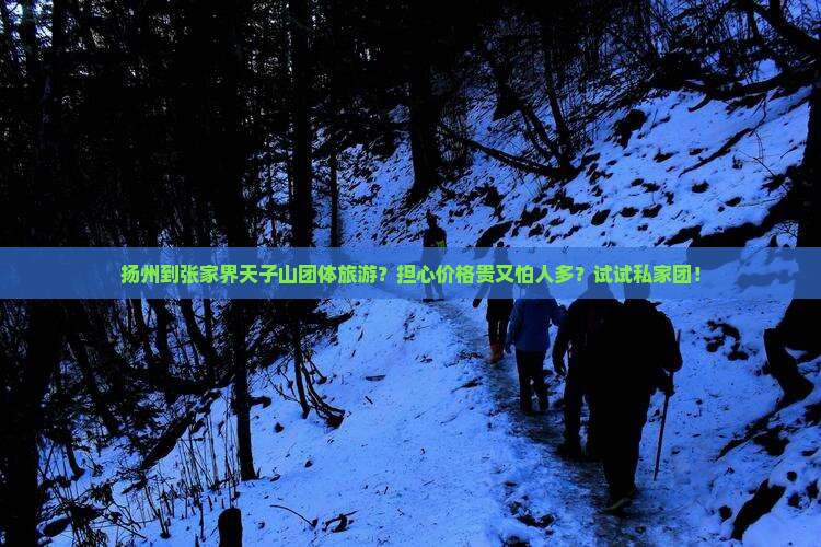 扬州到张家界天子山团体旅游？担心价格贵又怕人多？试试私家团！