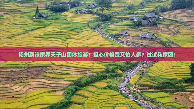 扬州到张家界天子山团体旅游？担心价格贵又怕人多？试试私家团！