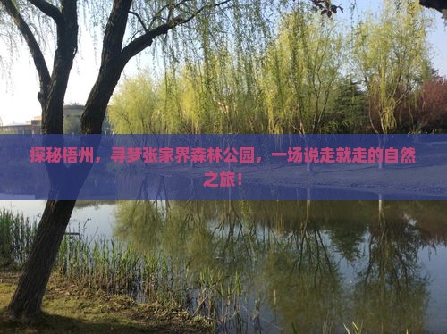 探秘梧州，寻梦张家界森林公园，一场说走就走的自然之旅！