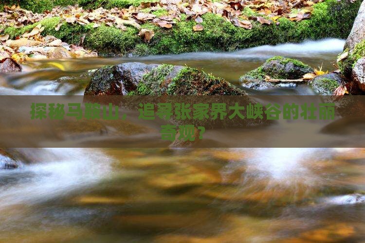 探秘马鞍山，追寻张家界大峡谷的壮丽奇观？
