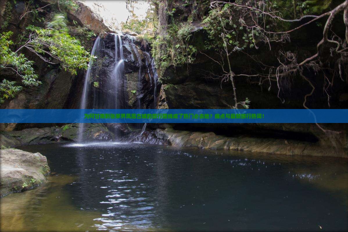 为何甘南到张家界凤凰古城的旅行路线成了热门必去地？痛点与最新旅行热词！