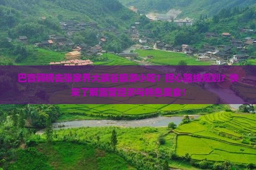 巴音郭楞去张家界大峡谷旅游小吃？担心路线规划？快来了解露营经济与特色美食！