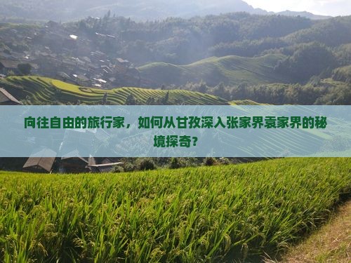 向往自由的旅行家，如何从甘孜深入张家界袁家界的秘境探奇？