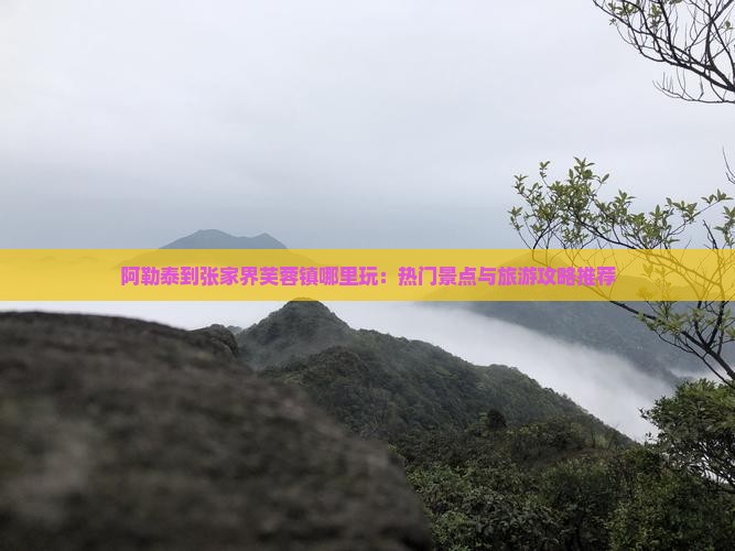 阿勒泰到张家界芙蓉镇哪里玩：热门景点与旅游攻略推荐