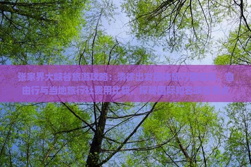 张家界大峡谷旅游攻略：清徐出发团体旅行团信息，自由行与当地旅行社费用比较，探秘国际知名峡谷景点