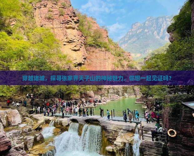 穿越诸城，探寻张家界天子山的神秘魅力，你想一起见证吗？