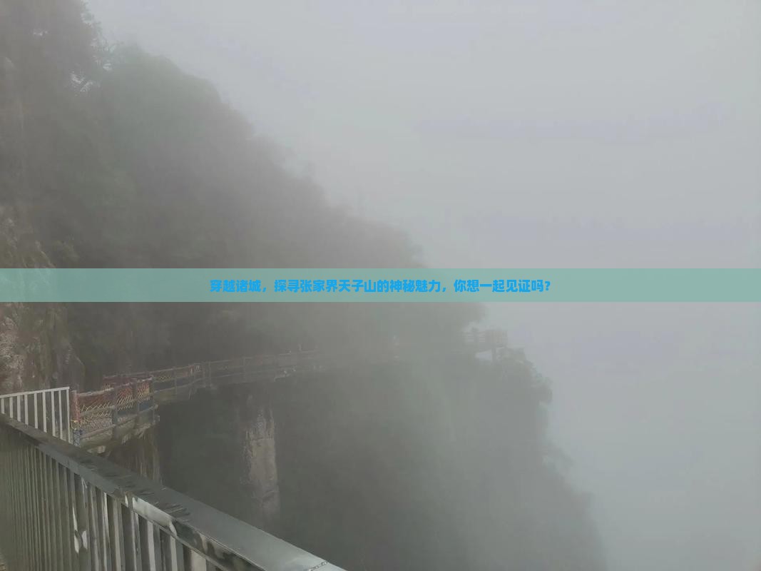 穿越诸城，探寻张家界天子山的神秘魅力，你想一起见证吗？