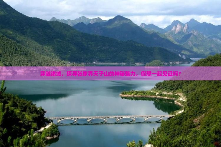 穿越诸城，探寻张家界天子山的神秘魅力，你想一起见证吗？