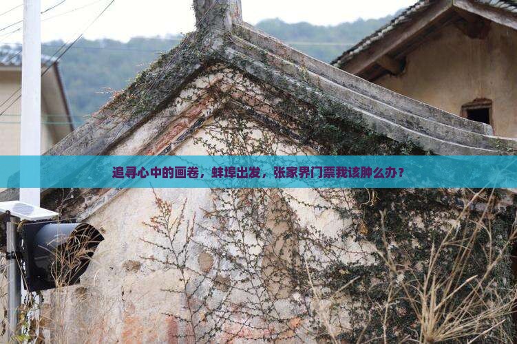 蚌埠到张家界门票