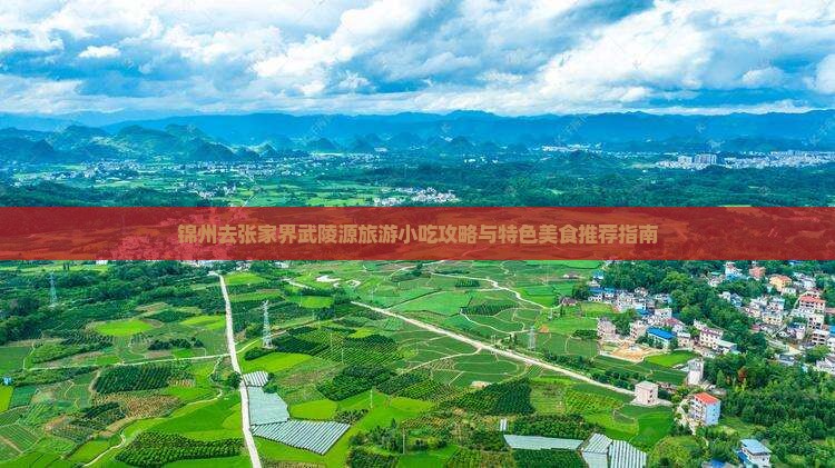 锦州去张家界武陵源旅游小吃