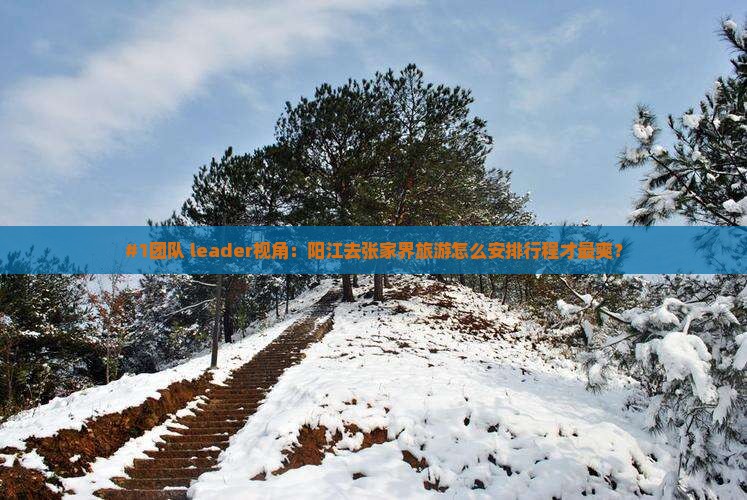 阳江到张家界团体旅游