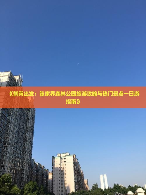 鹤岗到张家界森林公园一日